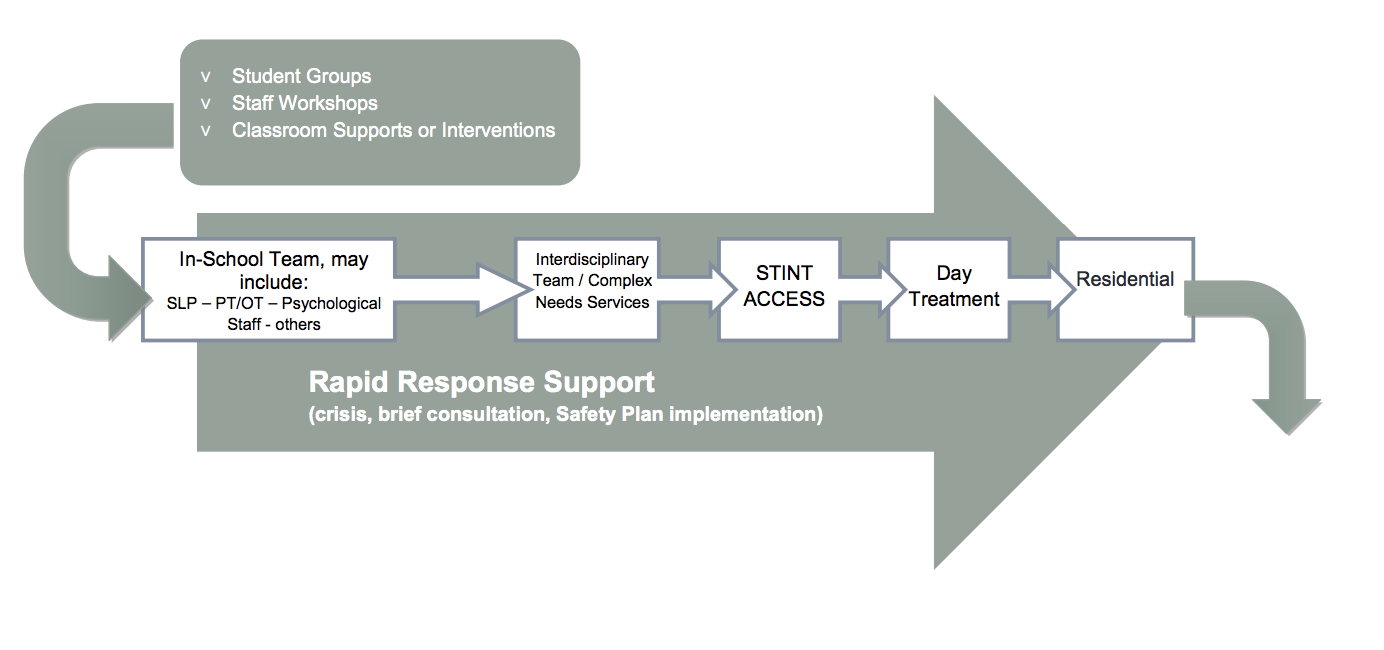 Student Crisis Plan Template from www.yrdsb.ca