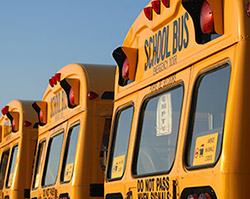 Student Transportation