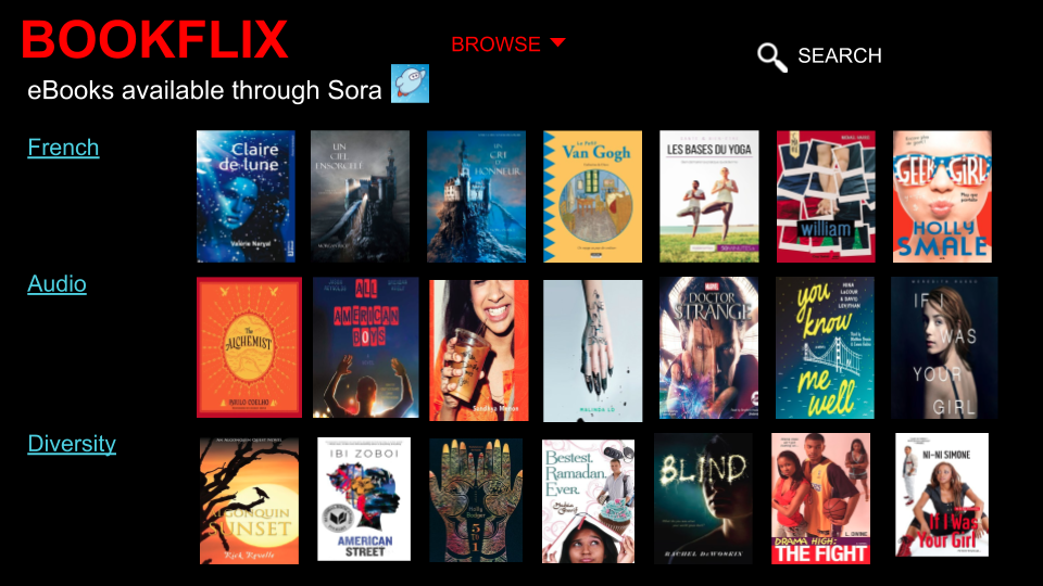 Bookflix Virtual Display - includes links to eBooks on the following topics:  French, Audio, Diversity