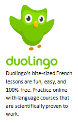 duoLingo - Logo for website