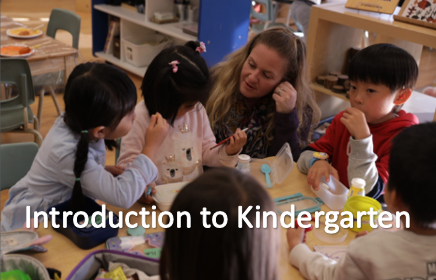 Discover Kindergarten.png