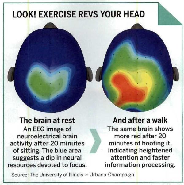 brain-on-excercise-2.jpg