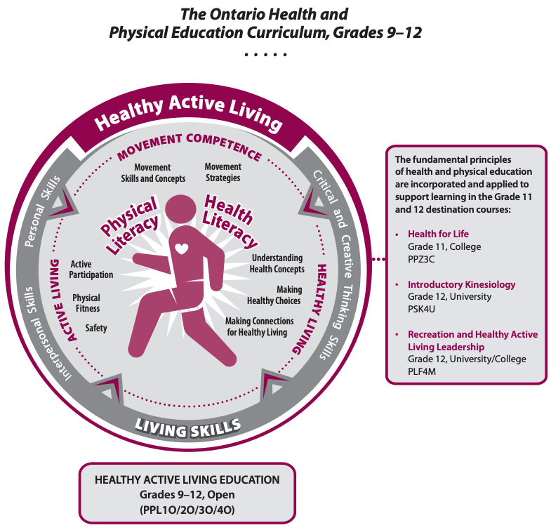 http://www.yrdsb.ca/schools/trudeau.hs/guidance/Documents/Phys%20Ed%20Curriculum.png